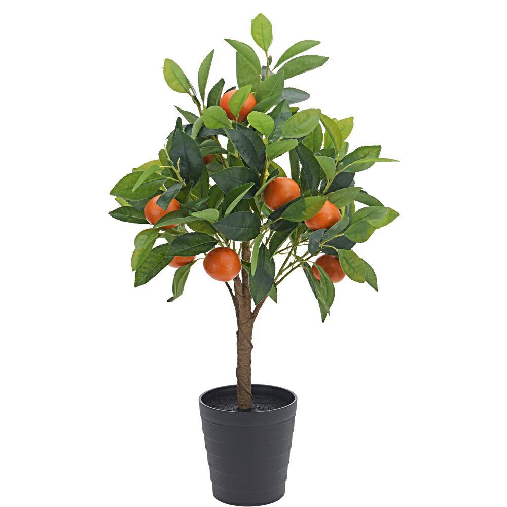 Drzewko pomarańczy w donicy 70 cm